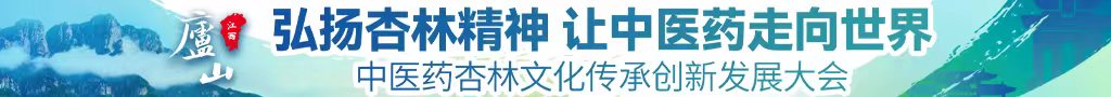 西欧美女操逼逼中医药杏林文化传承创新发展大会